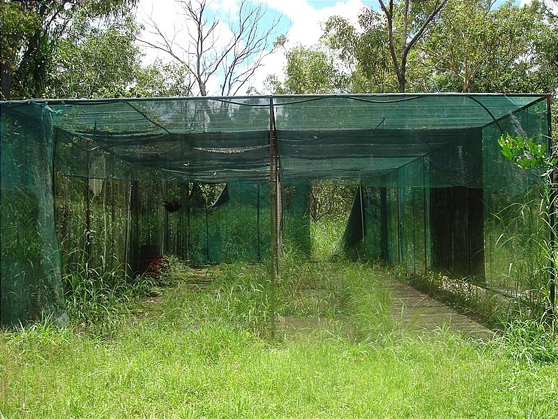 45 Dreamtime Drive, Mcminns Lagoon NT 0822