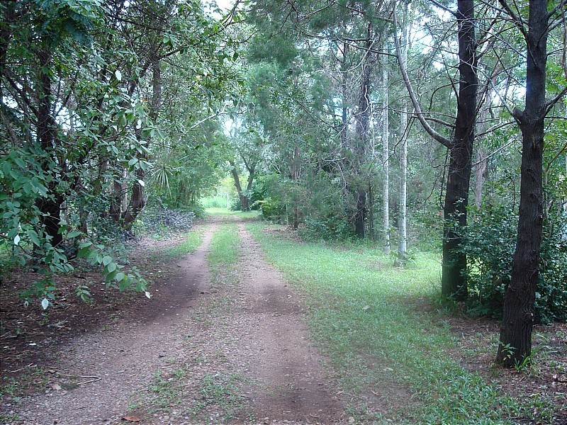 45 Dreamtime Drive, Mcminns Lagoon NT 0822