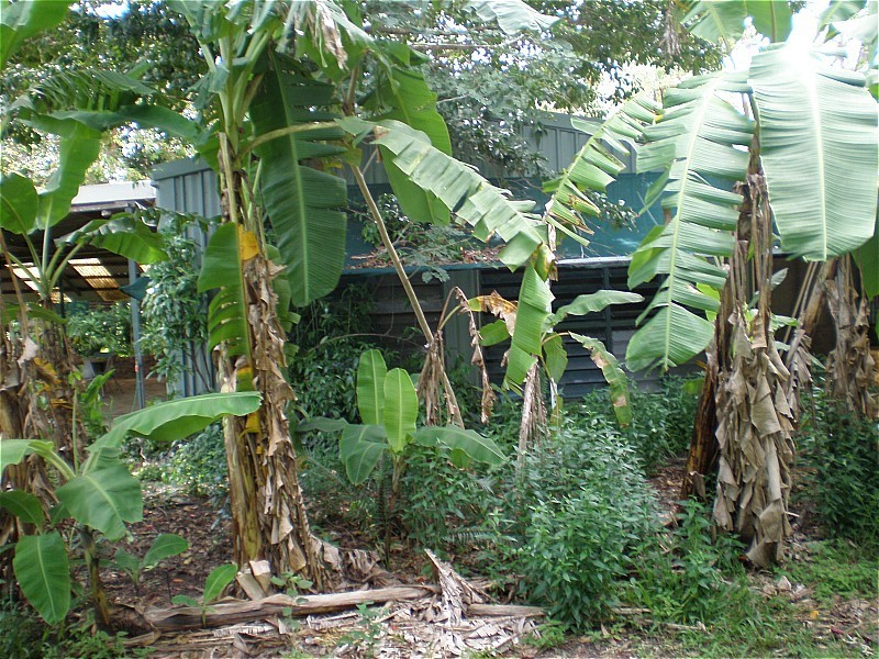 12 Litchfield Road, Batchelor NT 0845