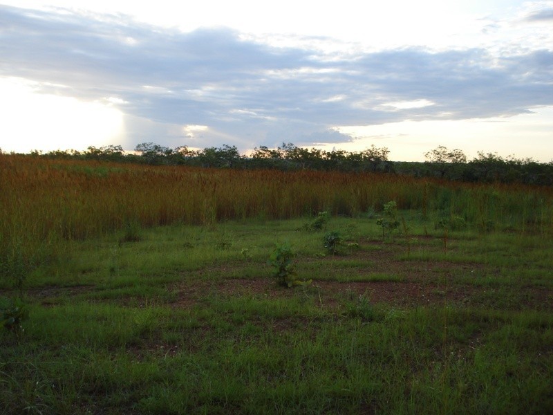 Lot 6052  Wright road MARRAKAI, Humpty Doo NT 0836