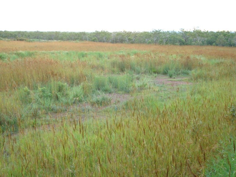 Lot 6052  Wright road MARRAKAI, Humpty Doo NT 0836