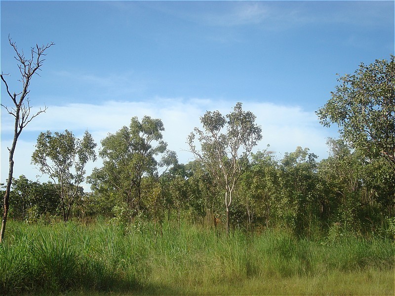 485 Haynes Rd, Adelaide River NT 0846