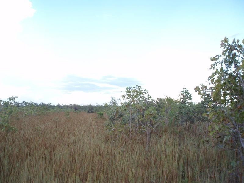 3409 Koonakurra, Dundee Beach NT 0840