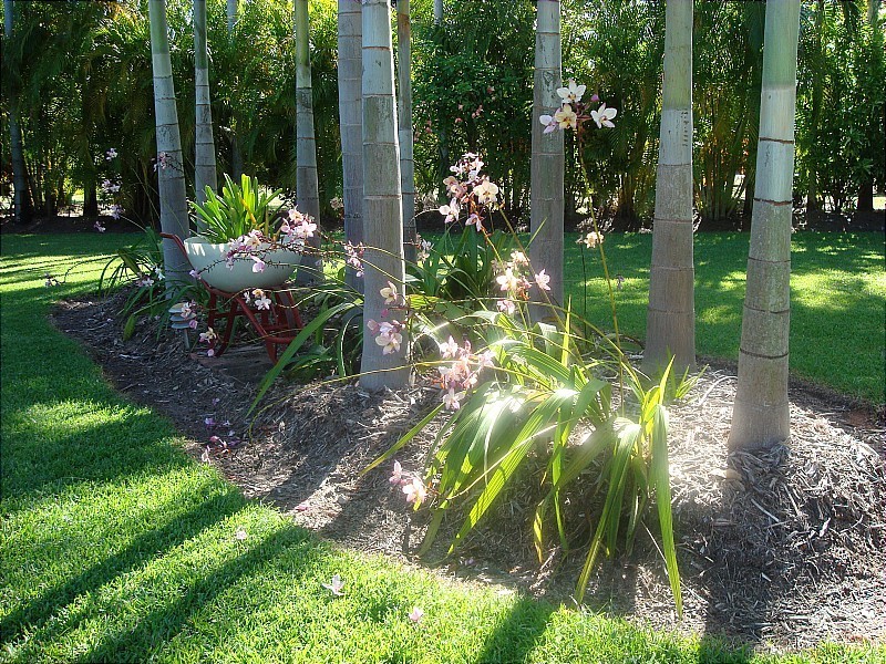 50 Sunter Rd, Humpty Doo NT 0836