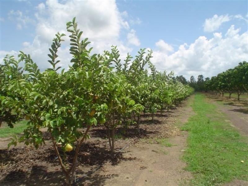 DODSON ROAD, Humpty Doo NT 0836