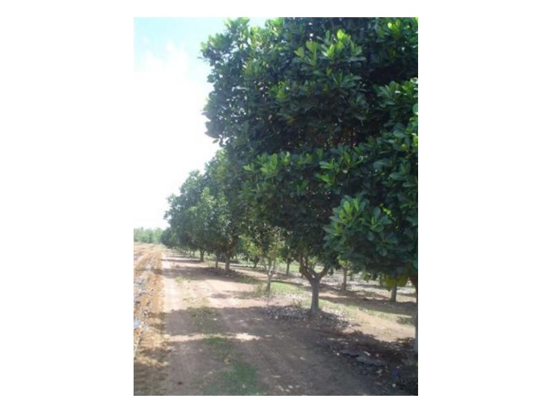 DODSON ROAD, Humpty Doo NT 0836