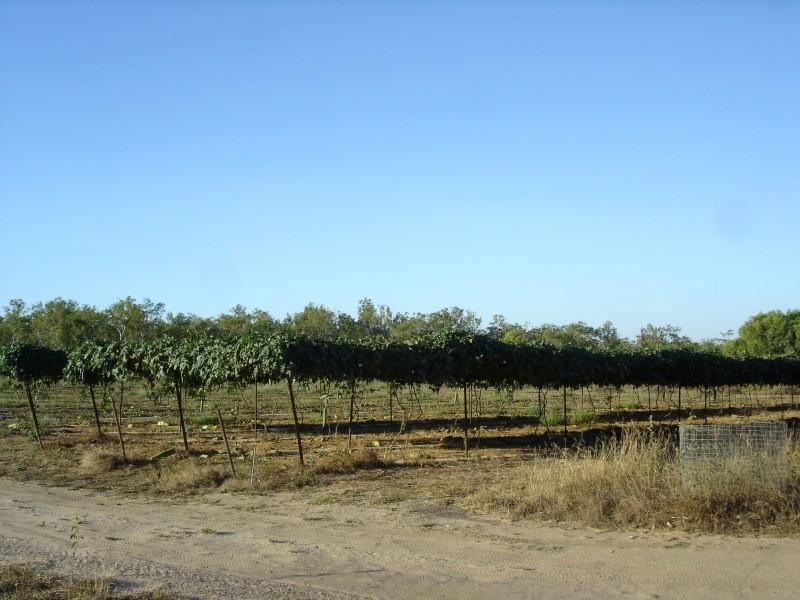 DODSON ROAD, Humpty Doo NT 0836