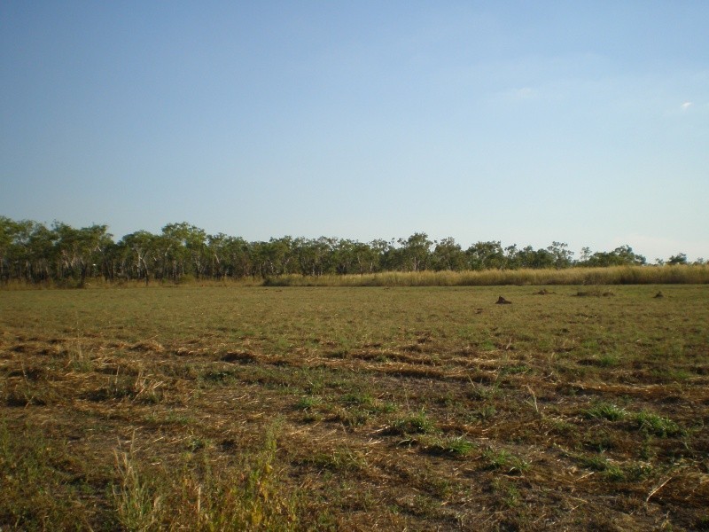 596 Mocatto Road, Acacia Hills NT 0822