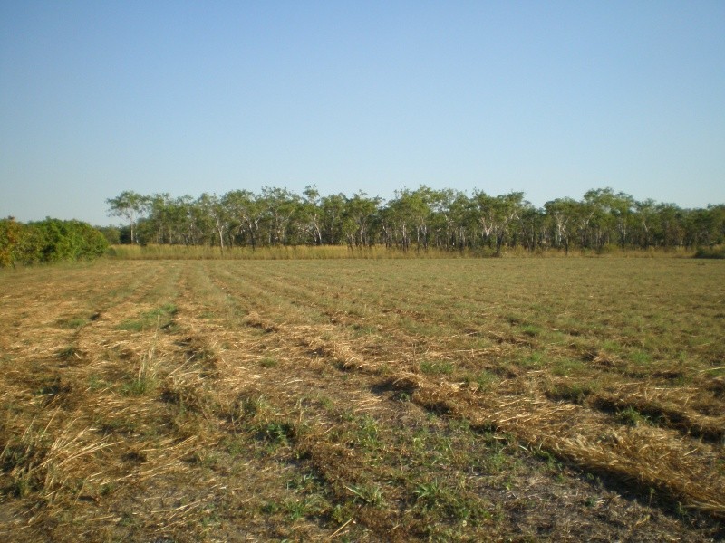 596 Mocatto Road, Acacia Hills NT 0822