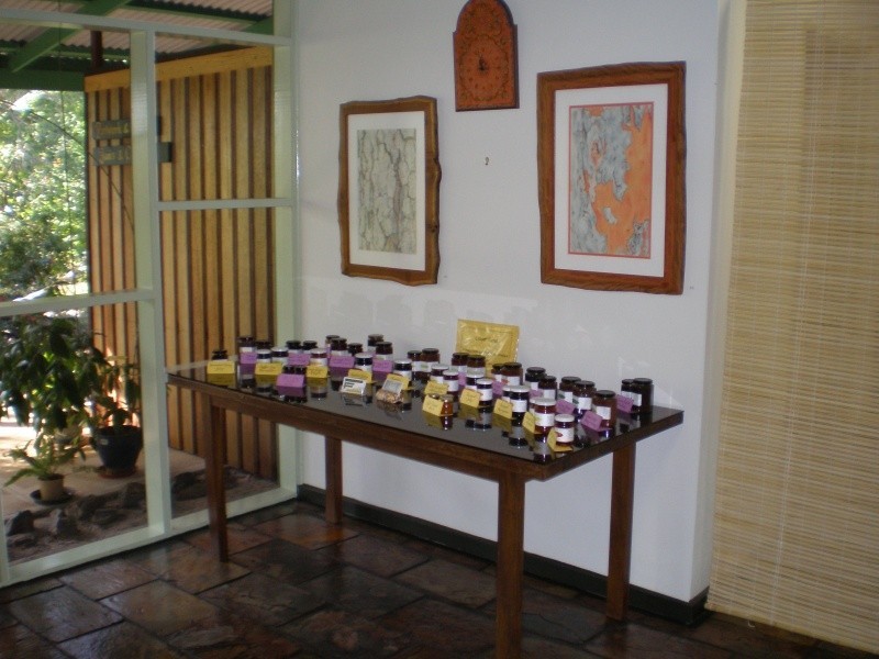 525 Lot 11 Litchfield Park Road, Batchelor NT 0845