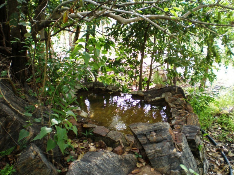 525 Lot 11 Litchfield Park Road, Batchelor NT 0845