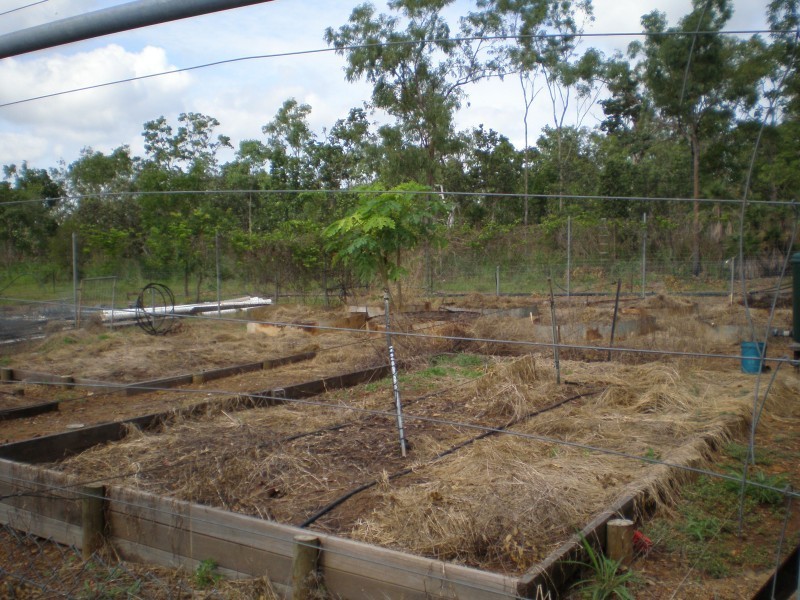 525 Lot 11 Litchfield Park Road, Batchelor NT 0845