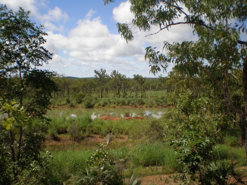 525 Lot 11 Litchfield Park Road, Batchelor NT 0845