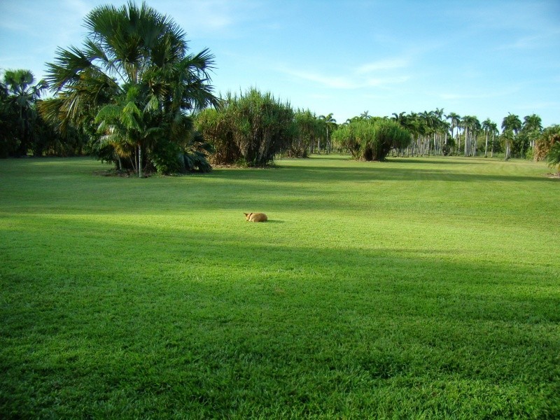 24 Sanford Street, Leanyer NT 0812