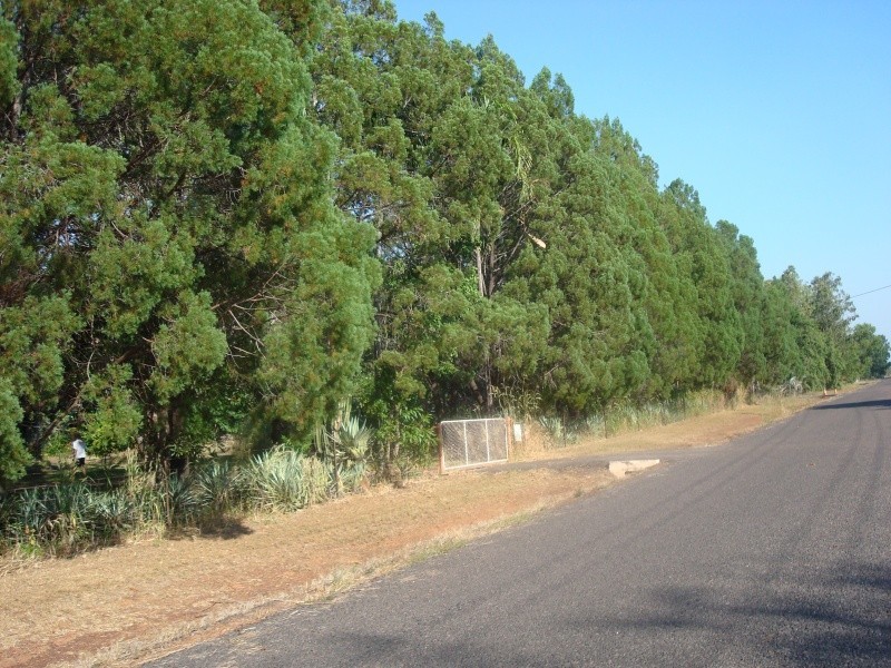 30 130 Pheasant Drive, Mcminns Lagoon NT 0822