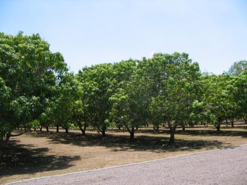 BRONZEWING AVENUE, HOWARD RIVER PARK, Howard Springs NT 0835