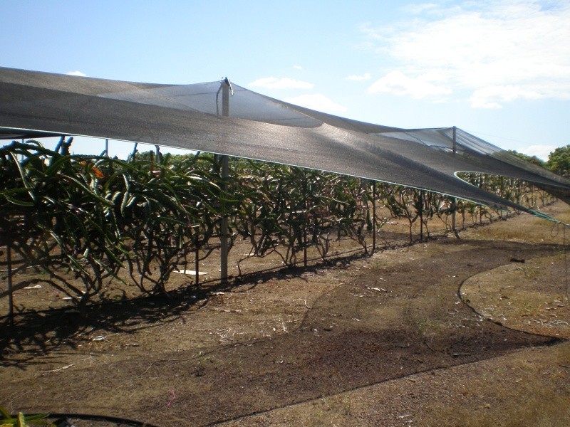 70 Nolan Rd, Lambells Lagoon NT 0822