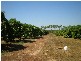 70 Nolan Rd, Lambells Lagoon NT 0822