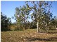 585 Darwin River Road, Darwin River NT 0841
