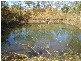 585 Darwin River Road, Darwin River NT 0841