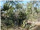 355 Leonino Road, Darwin River NT 0841