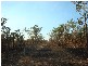 1894 Hundred of Hart, Batchelor NT 0845