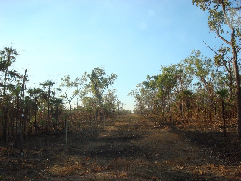 1894 Hundred of Hart, Batchelor NT 0845