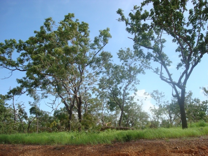 640 Chibnall Rd, Darwin River NT 0841