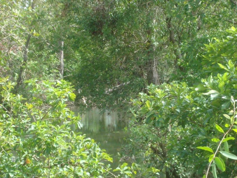 640 Chibnall Rd, Darwin River NT 0841