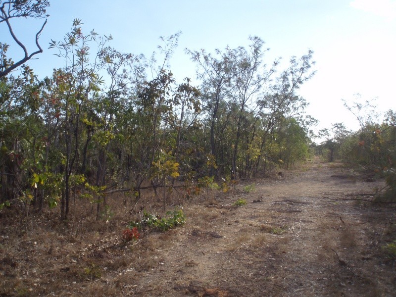 2960 Barramundi Drive, Dundee Downs NT 0840