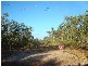 Bees Creek NT 0822