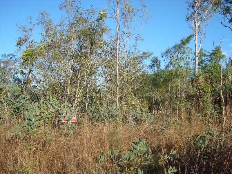 Bees Creek NT 0822