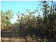 Bees Creek NT 0822