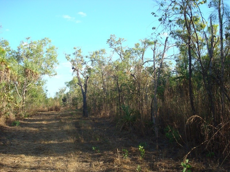 Bees Creek NT 0822