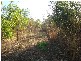 Bees Creek NT 0822