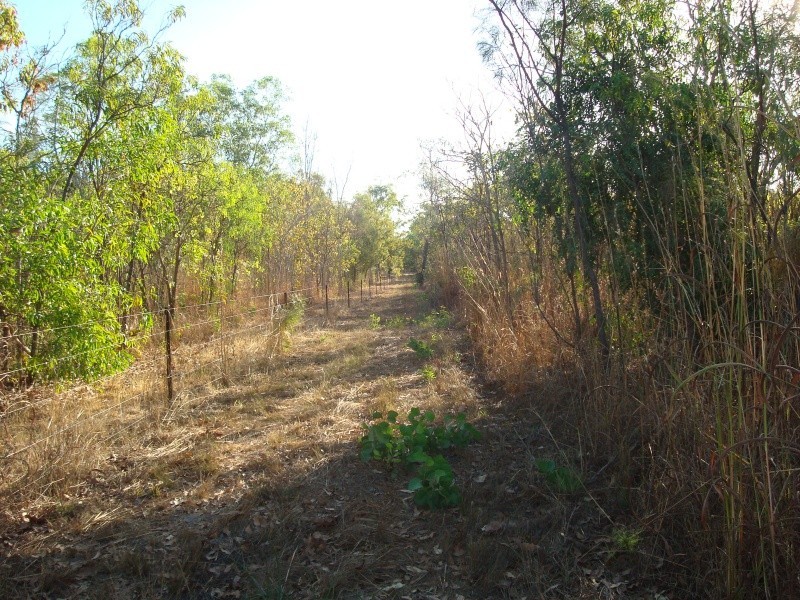 Bees Creek NT 0822