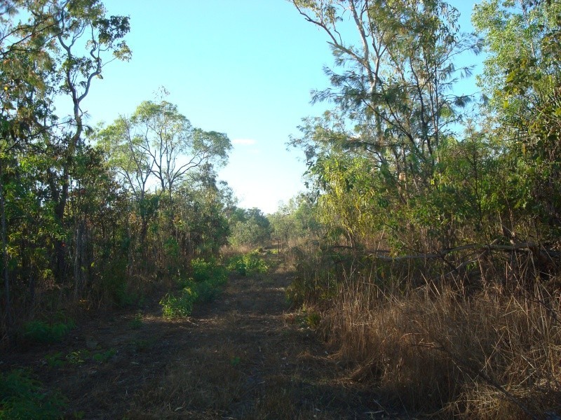 Bees Creek NT 0822