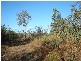 Bees Creek NT 0822
