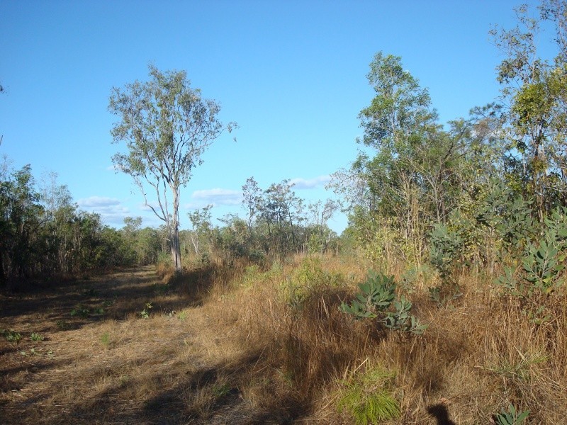 Bees Creek NT 0822