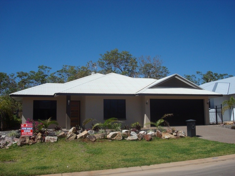 Gunn NT 0832
