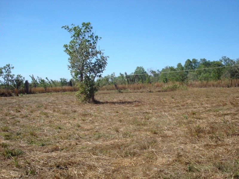 Darwin River NT 0841