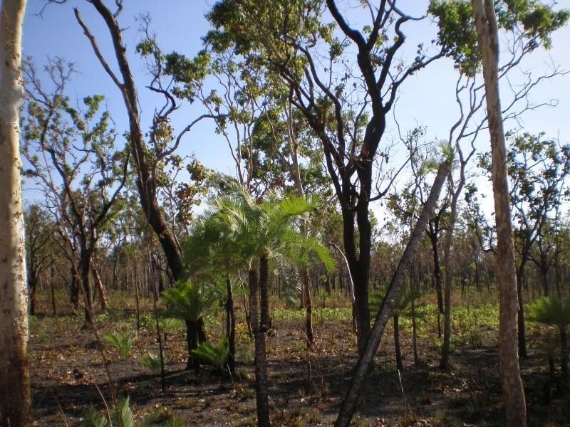 138 HEATHER LAGOON, Lake Bennett NT 0822