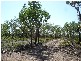 HUNDRED OF HART, FINNIS RIVER, Batchelor NT 0845