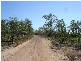 HUNDRED OF HART, FINNIS RIVER, Batchelor NT 0845
