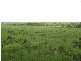 Marrakai, Humpty Doo NT 0836