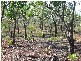Leonino Road, Darwin River NT 0841