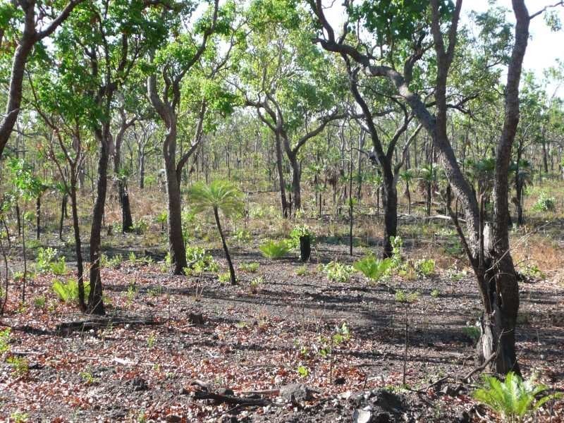 Leonino Road, Darwin River NT 0841