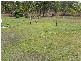 Leonino Road, Darwin River NT 0841
