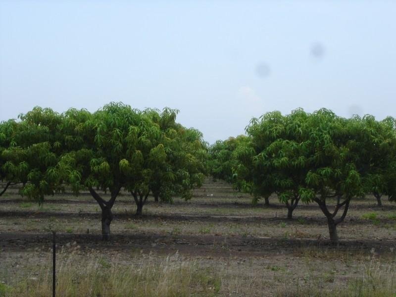 25 Cain Road, Lambells Lagoon NT 0822
