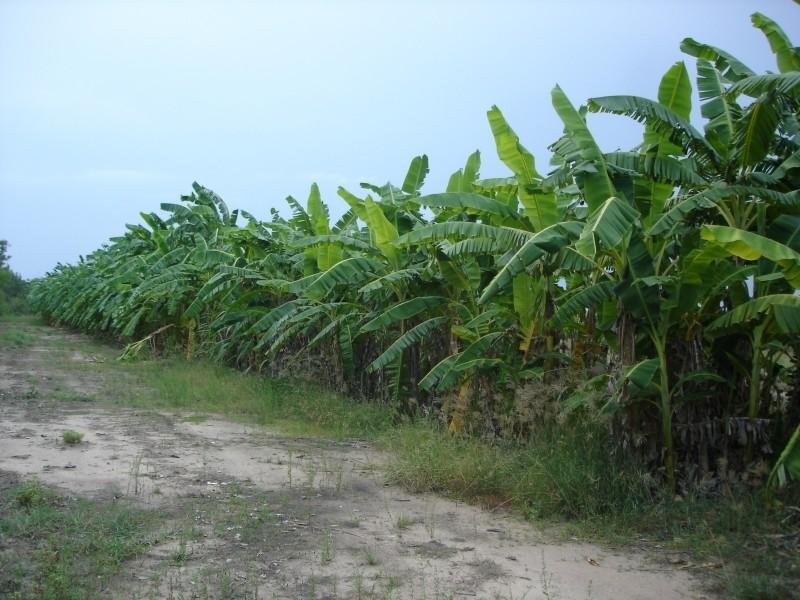 25 Cain Road, Lambells Lagoon NT 0822